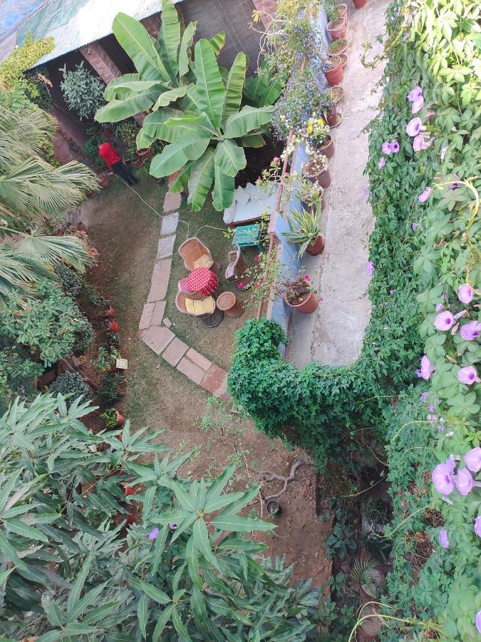 Bristows Haveli Homestay Jodhpur  Exterior photo
